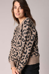 Pull Deeluxe Nawa Taupe